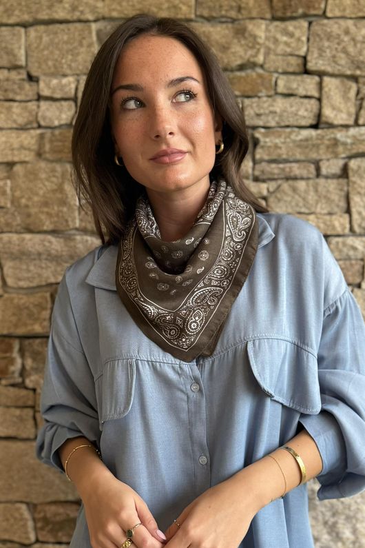 Arizona Classic Bandana Mud 